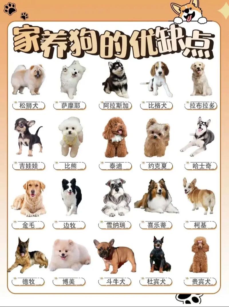 100元以下的宠物狗?我家狗丢了我想在买条狗(好伤心),介绍几种