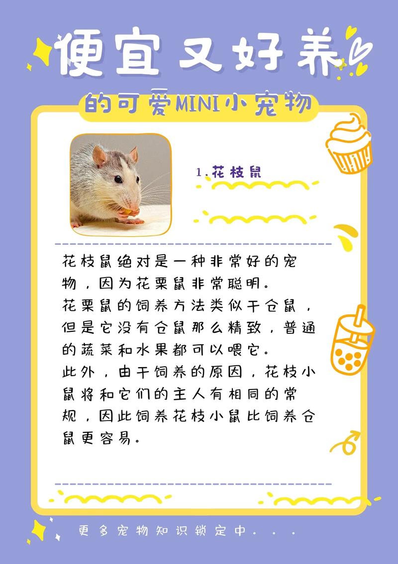 100元以下适合学生养的宠物有哪些