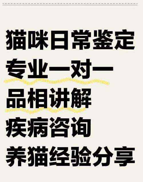 猫咪不让摸应该怎么办?