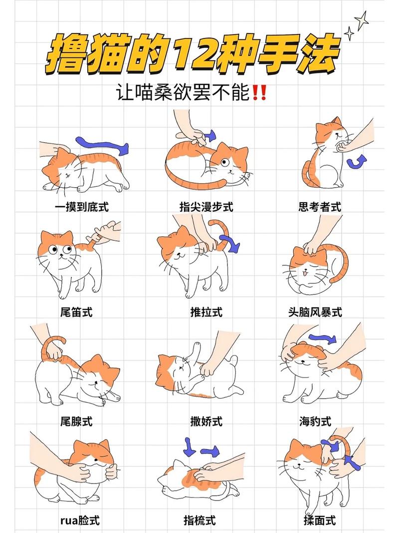 猫不让摸不让抱还咬人怎么办