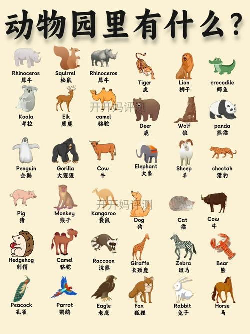 中国哪里可以克隆宠物