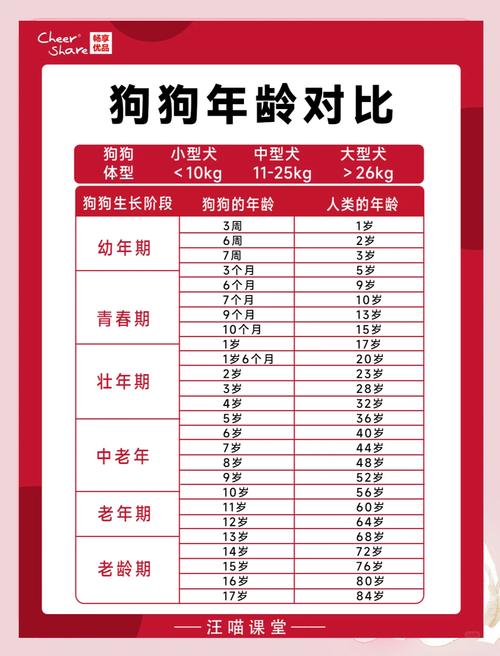 问~~!狗狗一岁是多久?