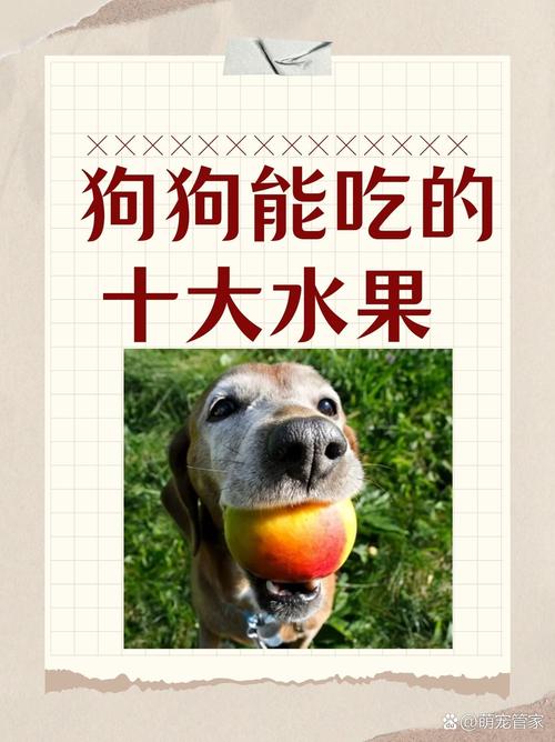 狗狗能吃腰果吗