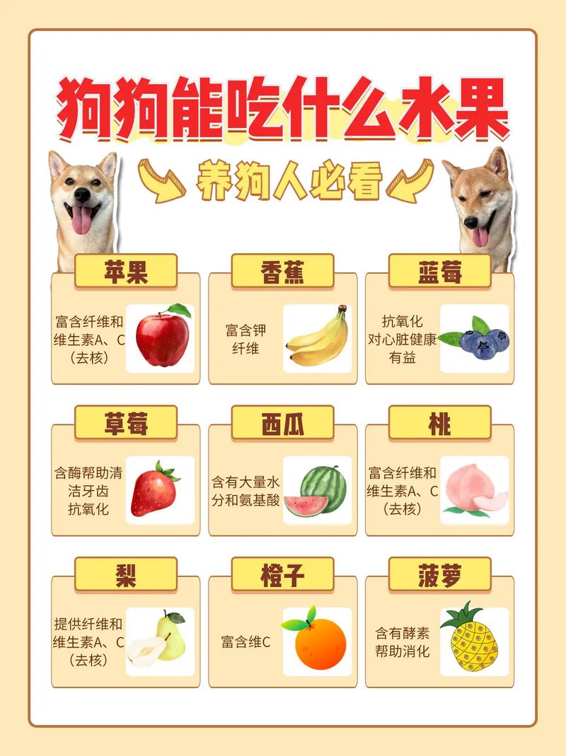 狗狗吃了腰果怎么办狗狗不小心吃了一颗腰果