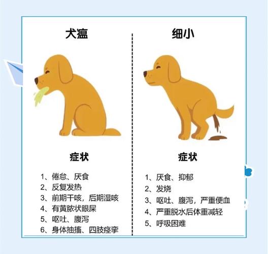 狗狗得了细小是什么症状怎么办呢