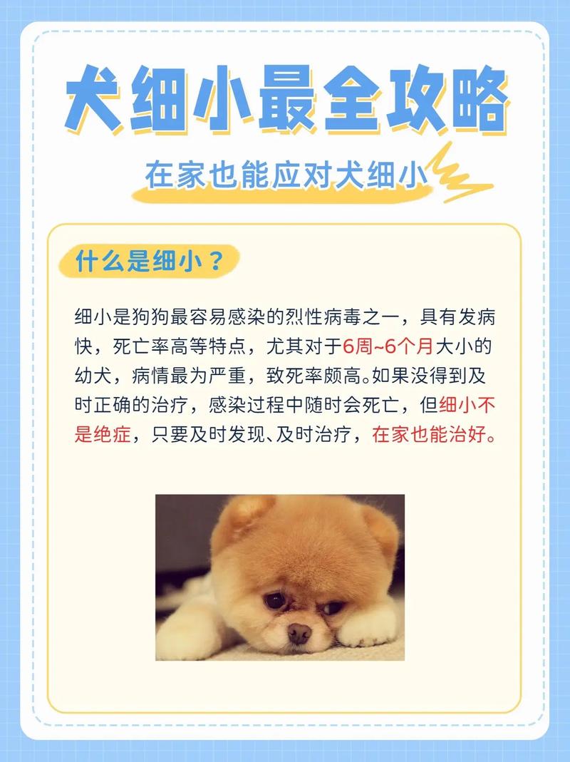 狗狗得细小临死的表现