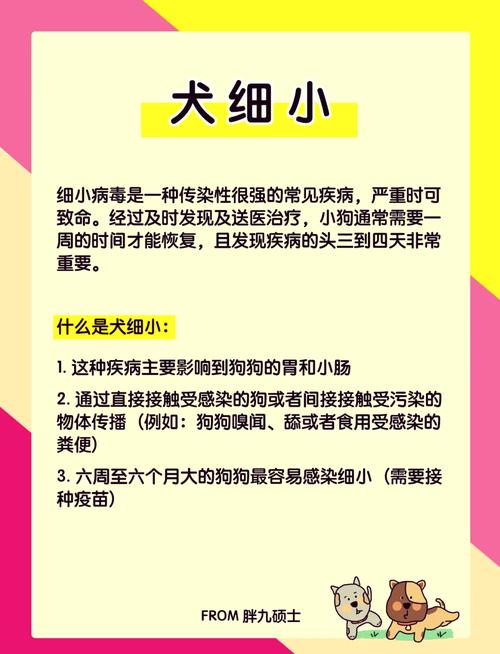 狗狗细小发烧说明什么