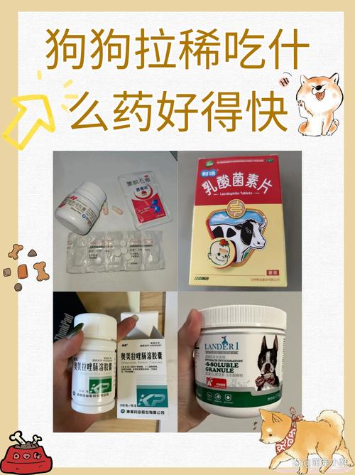 小狗拉稀,吃什么药呀?