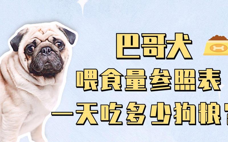 巴哥犬的饭量有多大