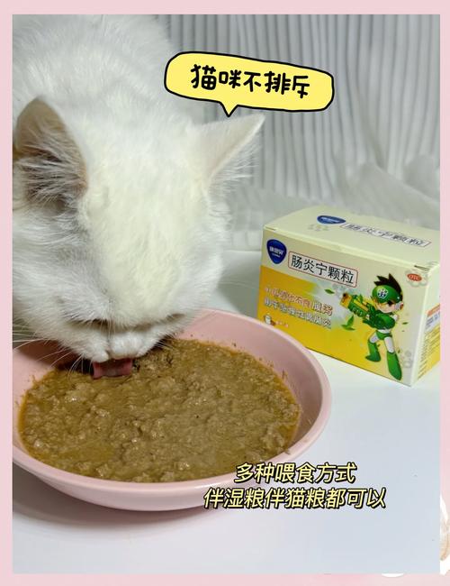 猫咪长期便秘吃什么药?