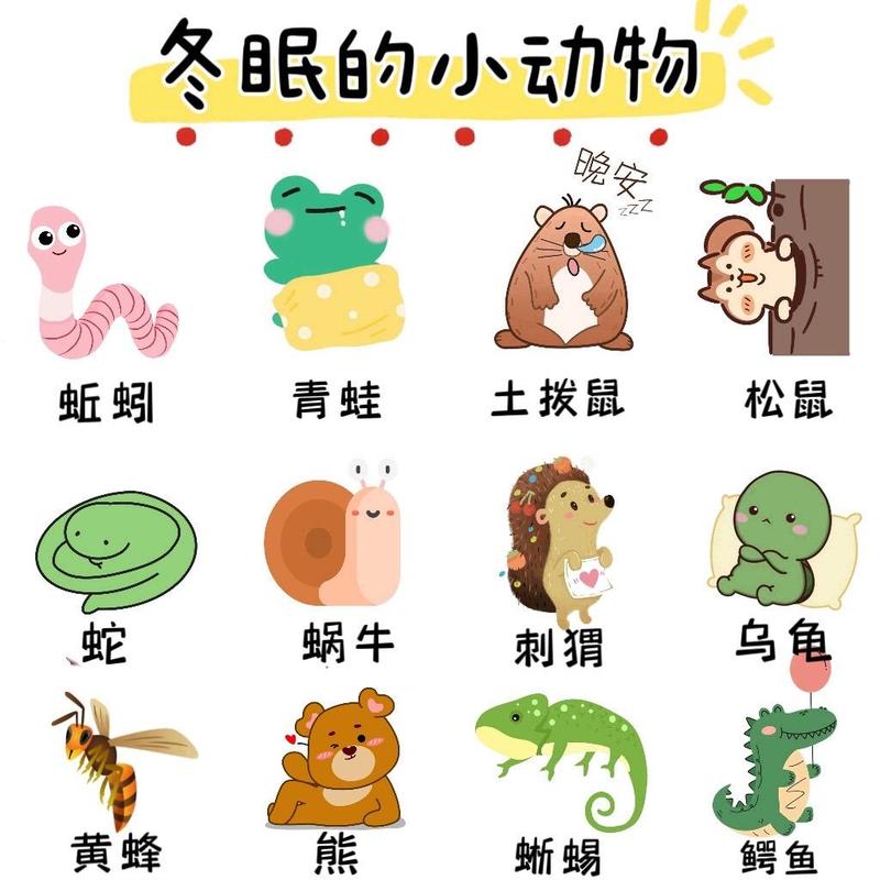 有哪些动物冬眠