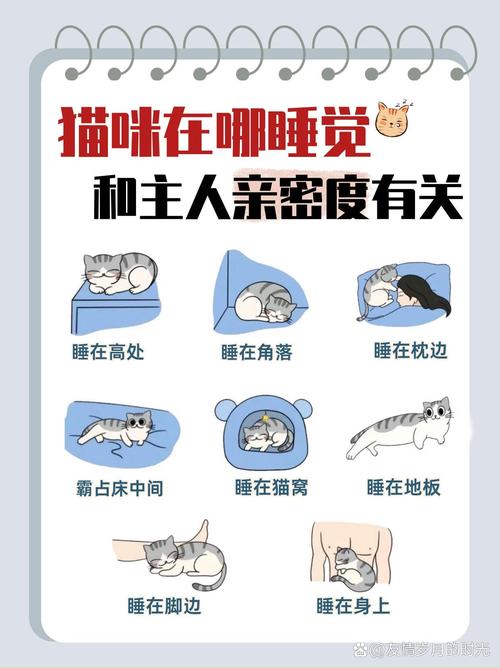 猫为什么喜欢和人睡