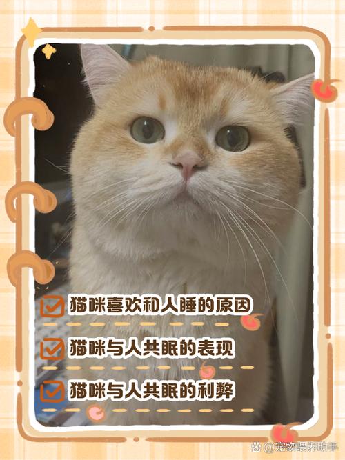 为什么猫咪喜欢和主人睡觉?
