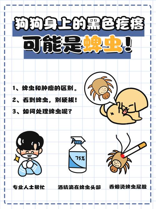 我家狗狗身上有蜱虫,怎么解决?!