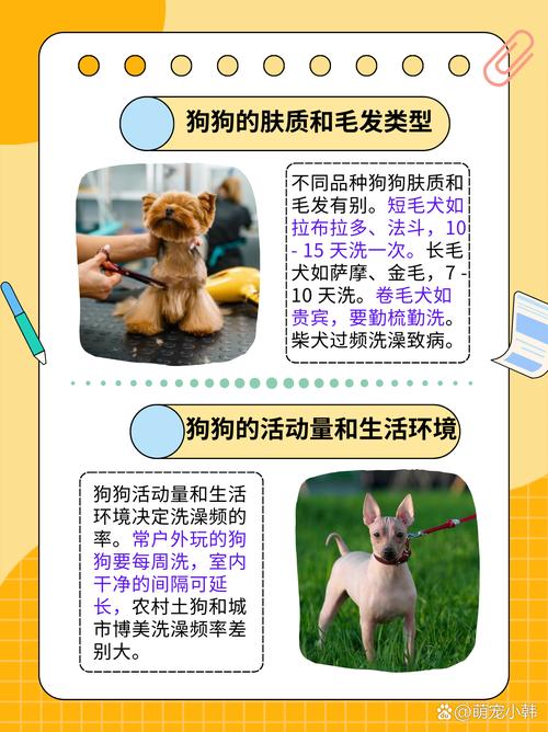 两个月大的狗狗多行时间可以洗澡,可不可以用干洗粉啊?