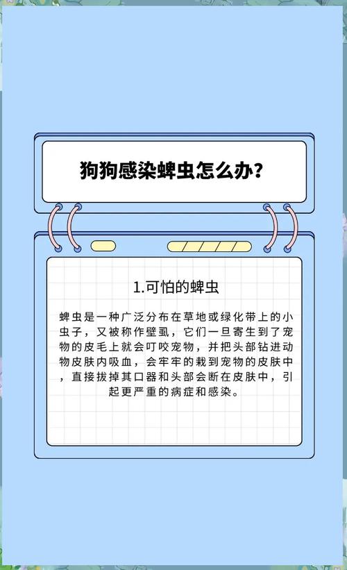狗狗可以用洗衣粉给它洗澡吗