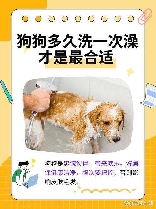 可以用洗衣粉给狗狗洗澡吗