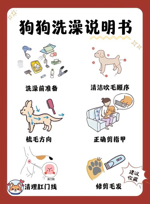 用洗衣粉帮狗狗洗澡的时候可以杀死跳蚤吗?