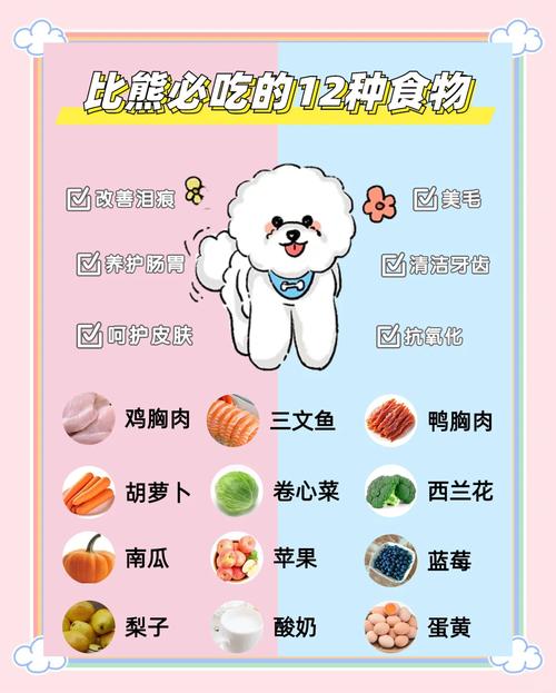 比熊标准食量