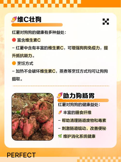 给狗狗吃红薯有什么好处