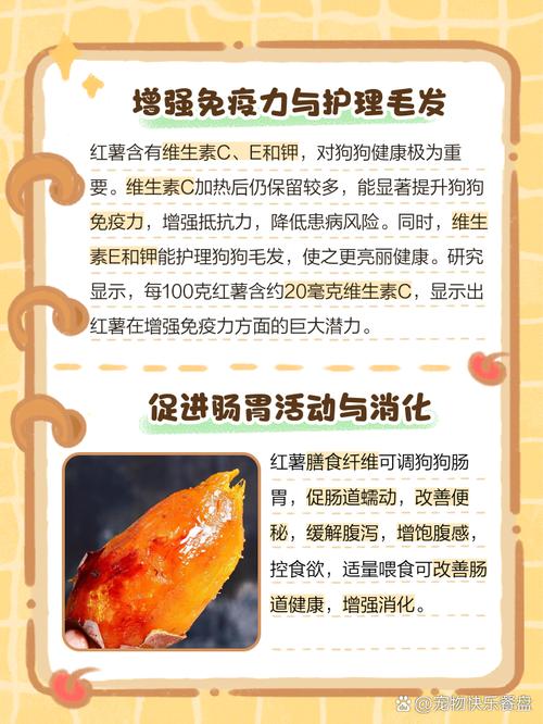 狗能吃红薯有哪些好处呢?