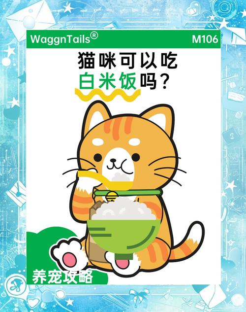 猫咪可以吃饭么,比如米