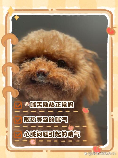 狗狗为什么一直吐舌头喘气