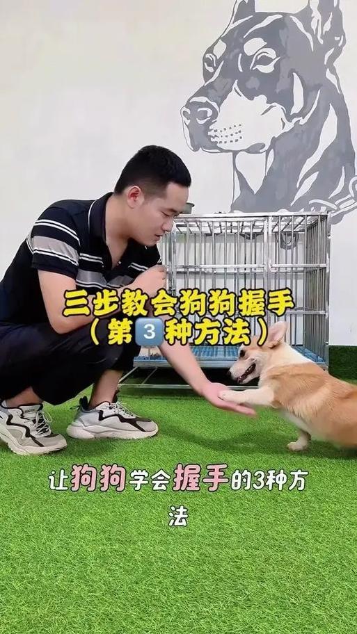 狗狗学习握手的方法