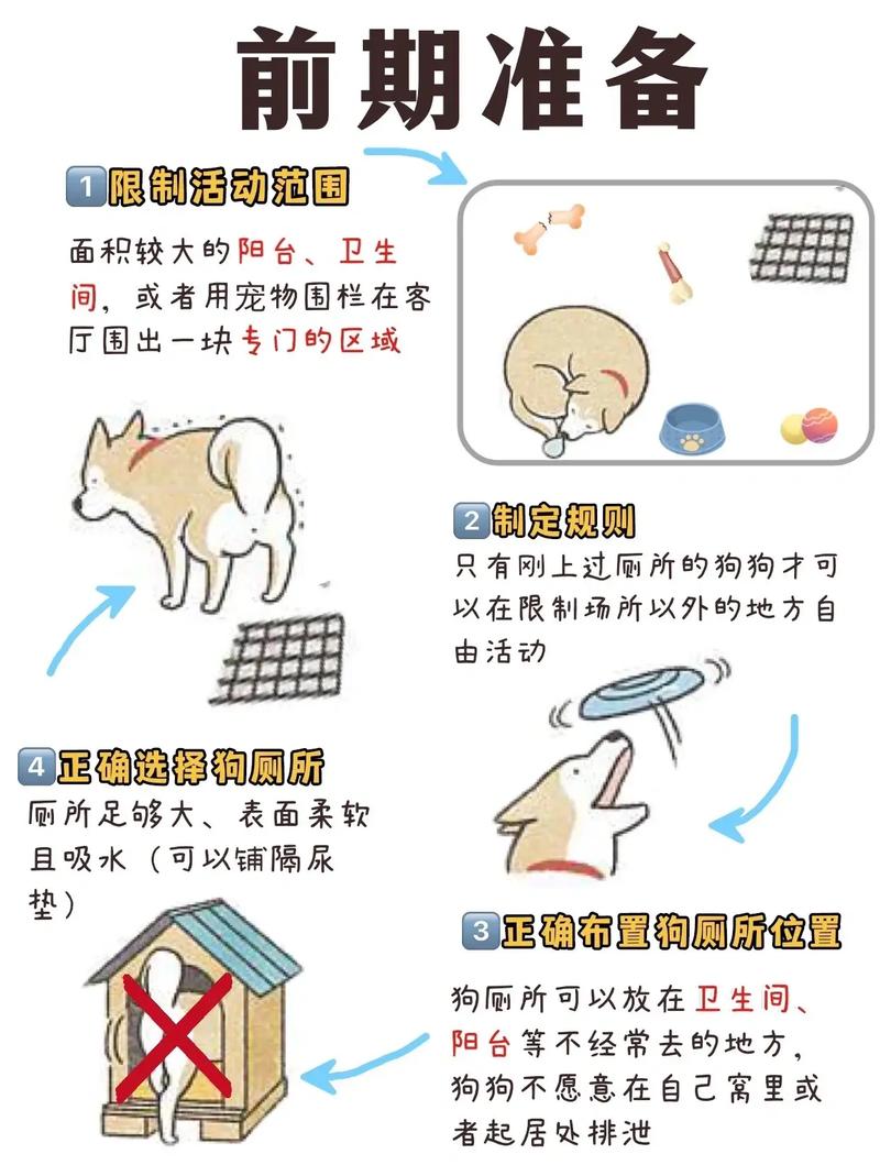 如何训练狗狗定点大小便