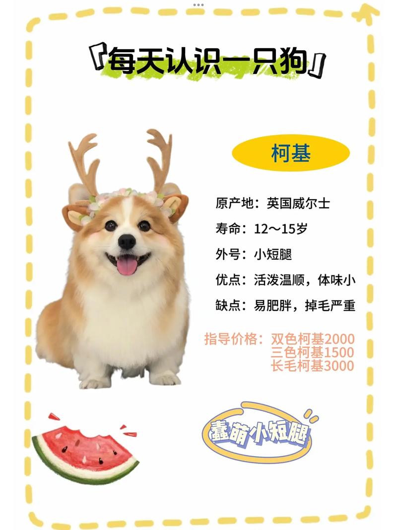6种常见狗狗的费用
[小狗多少钱一只]