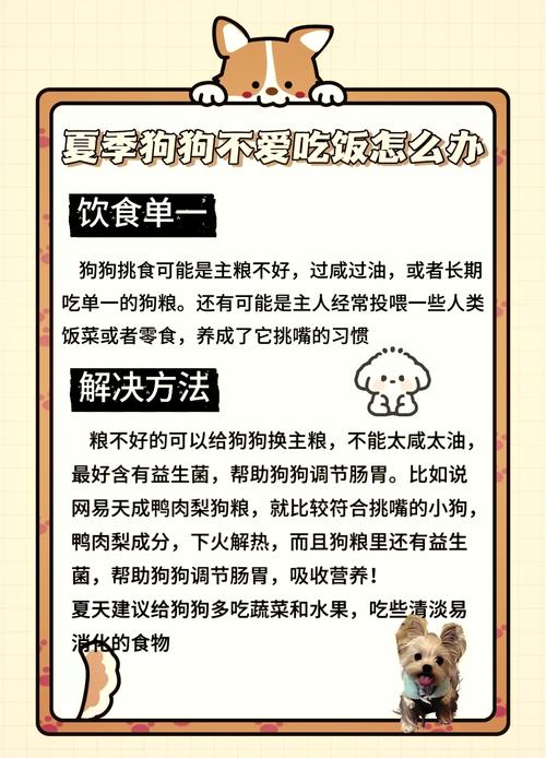 狗狗夏天胃口不好怎么办?
