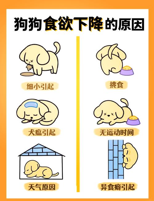 狗狗胃口不好怎么调理