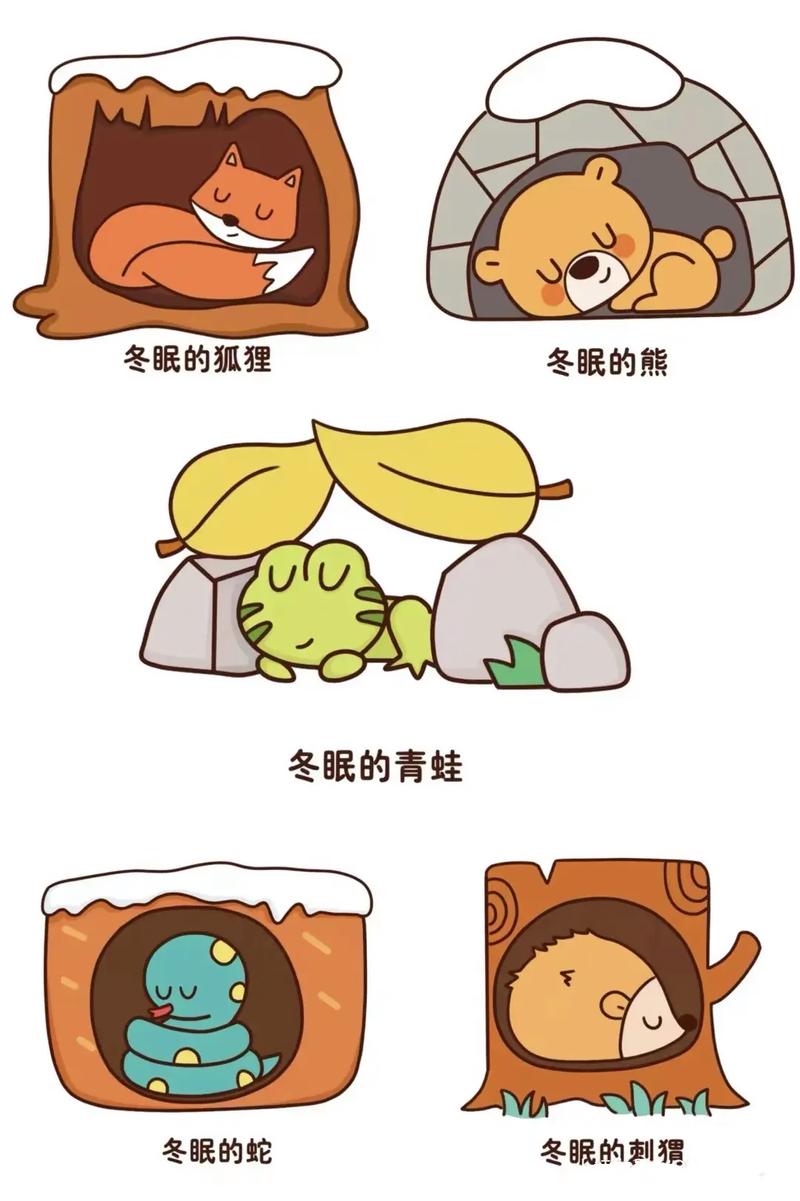 有哪些动物会冬眠?