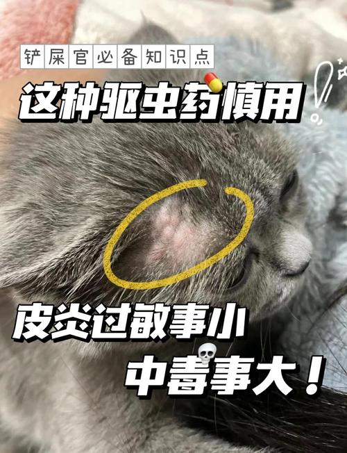 幼猫什么时候可以驱虫