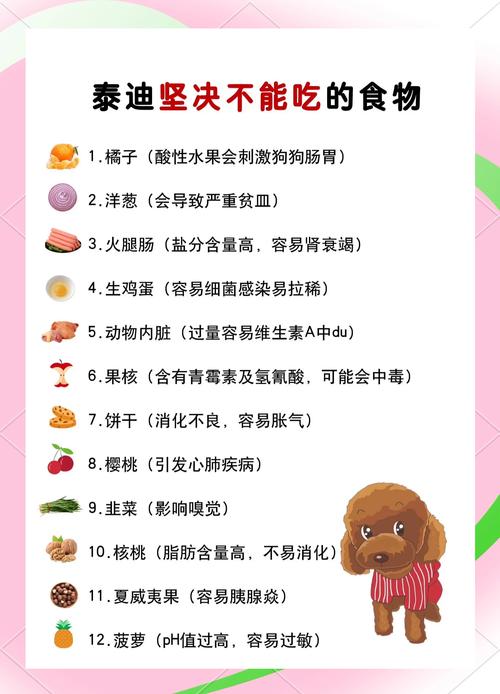 狗狗可以吃海苔吗