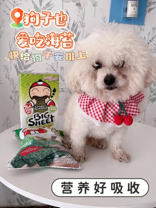 狗狗能吃海苔吗
