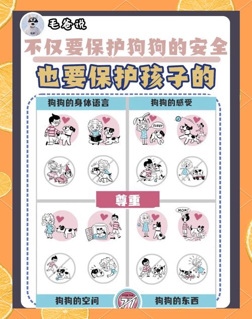 领养的狗狗不听管教怎么办