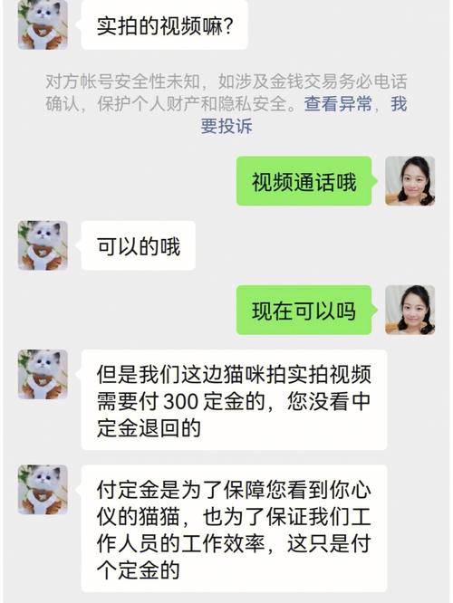 南宇10块买一只小奶猫可以吗是真的吗