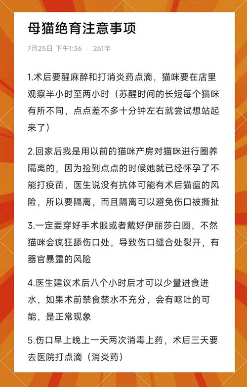 猫绝育手术后怎样护理需要注意什么