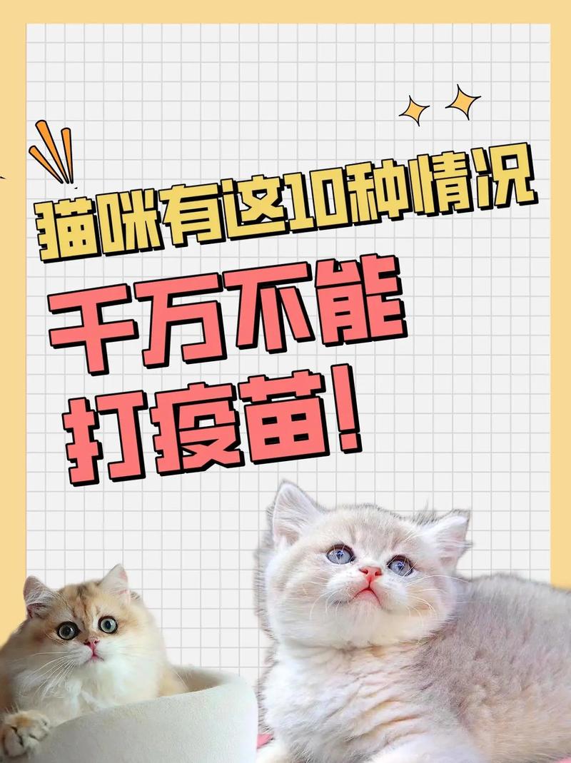 家养猫不打疫苗可以吗?