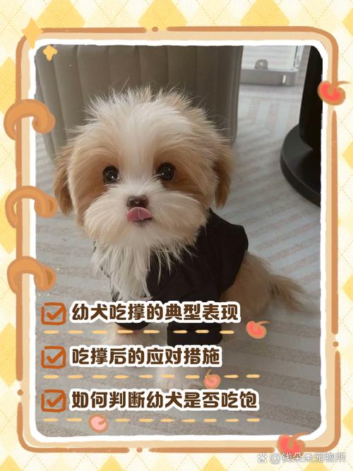 狗狗吃多了的表现？狗狗吃多了的状态？
