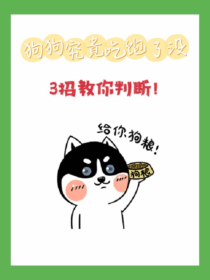 狗狗吃多了会有哪些表现啊?