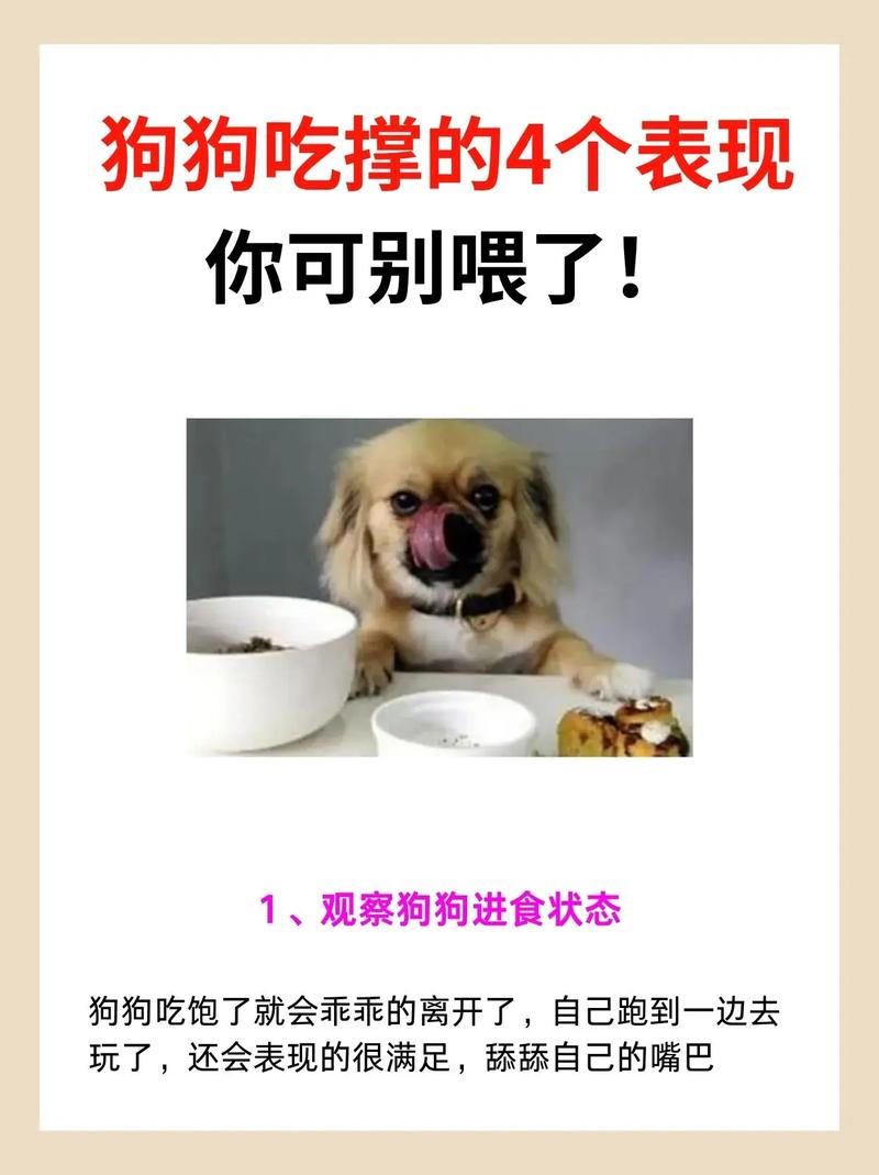 狗狗吃撑了有啥表现?