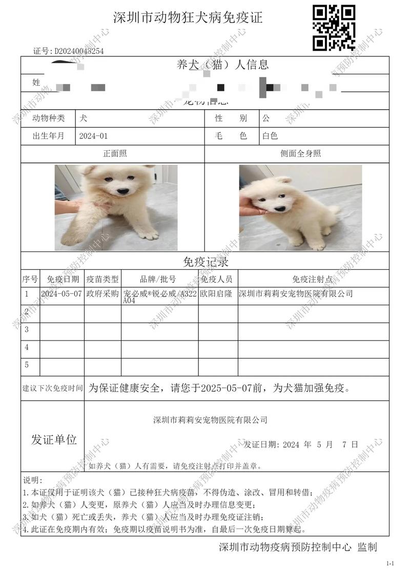 呼和浩特哪里有给狗狗办理免疫证的?