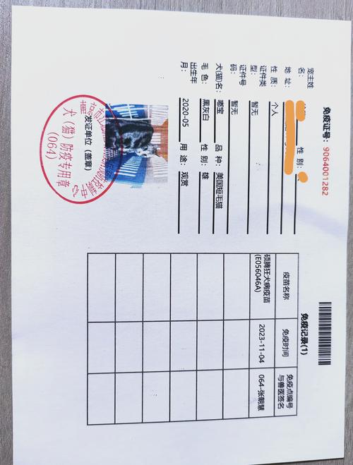 宠物免疫证明去哪里开办