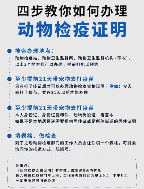 狗狗免疫证怎么办