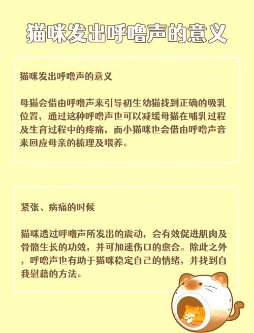 家里的猫睡觉会打呼噜会有问题么?
