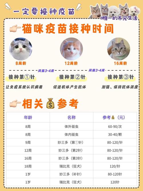 猫咪疫苗一共需要打几针一针多少钱
