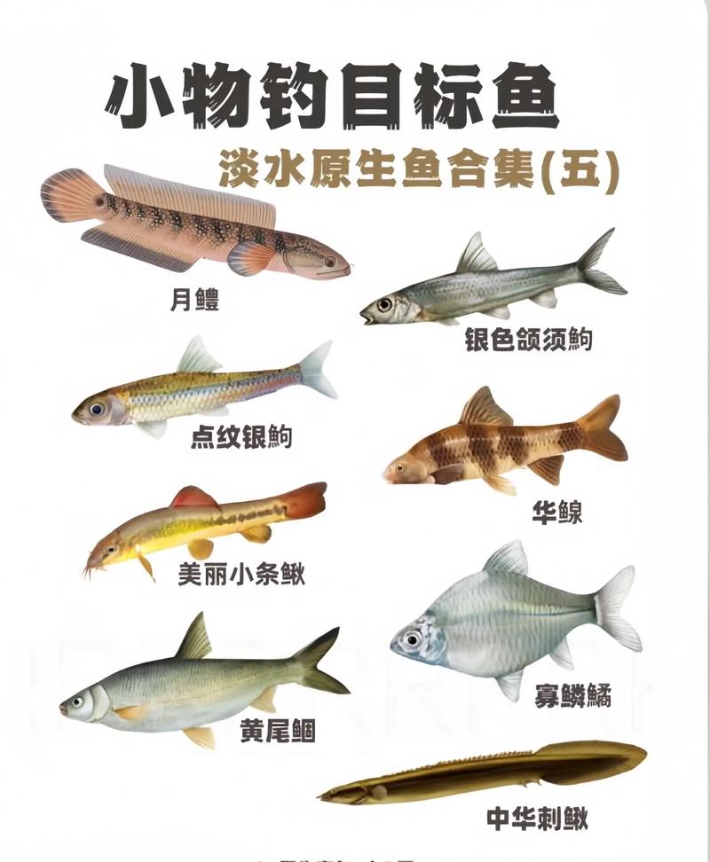 鱼的名称有哪些