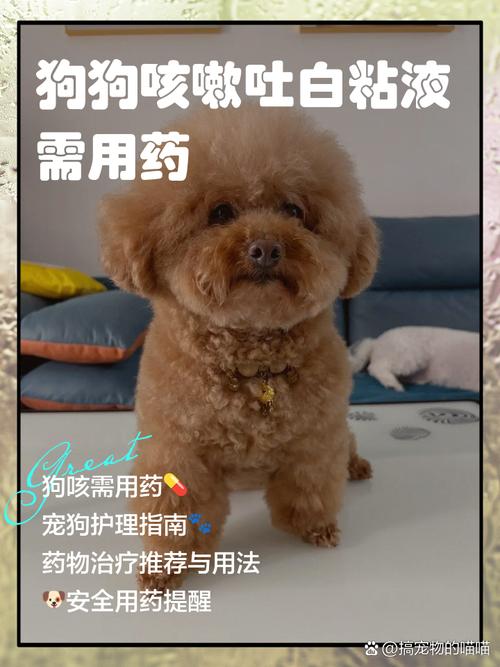 狗狗咳嗽呕吐白色粘液吃什么药见效快